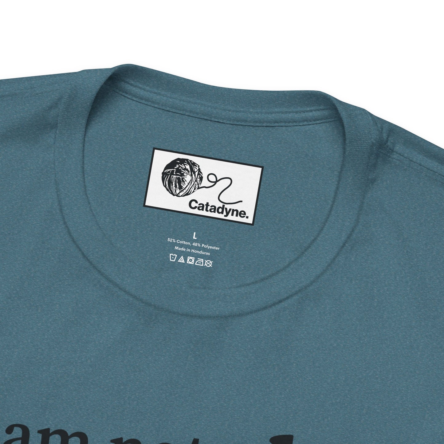 Socially Awkward Cat Tee, Funny T-Shirt, Cute Cat Apparel, Gifts for Introverts, Unisex Graphic Top, Quirky Humor Shirt