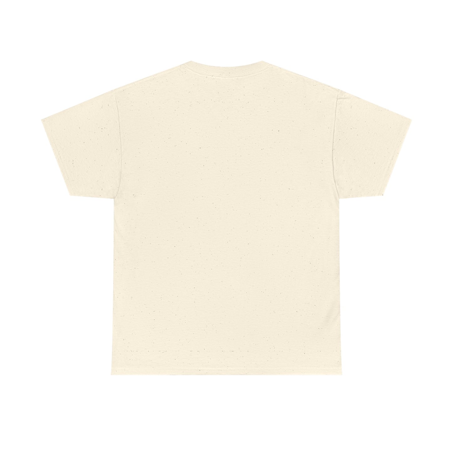 Geometric Cat T-Shirt - Minimalist Line Art Cat Tee, Cool Triangle Cat Design, Cat Lover Gift