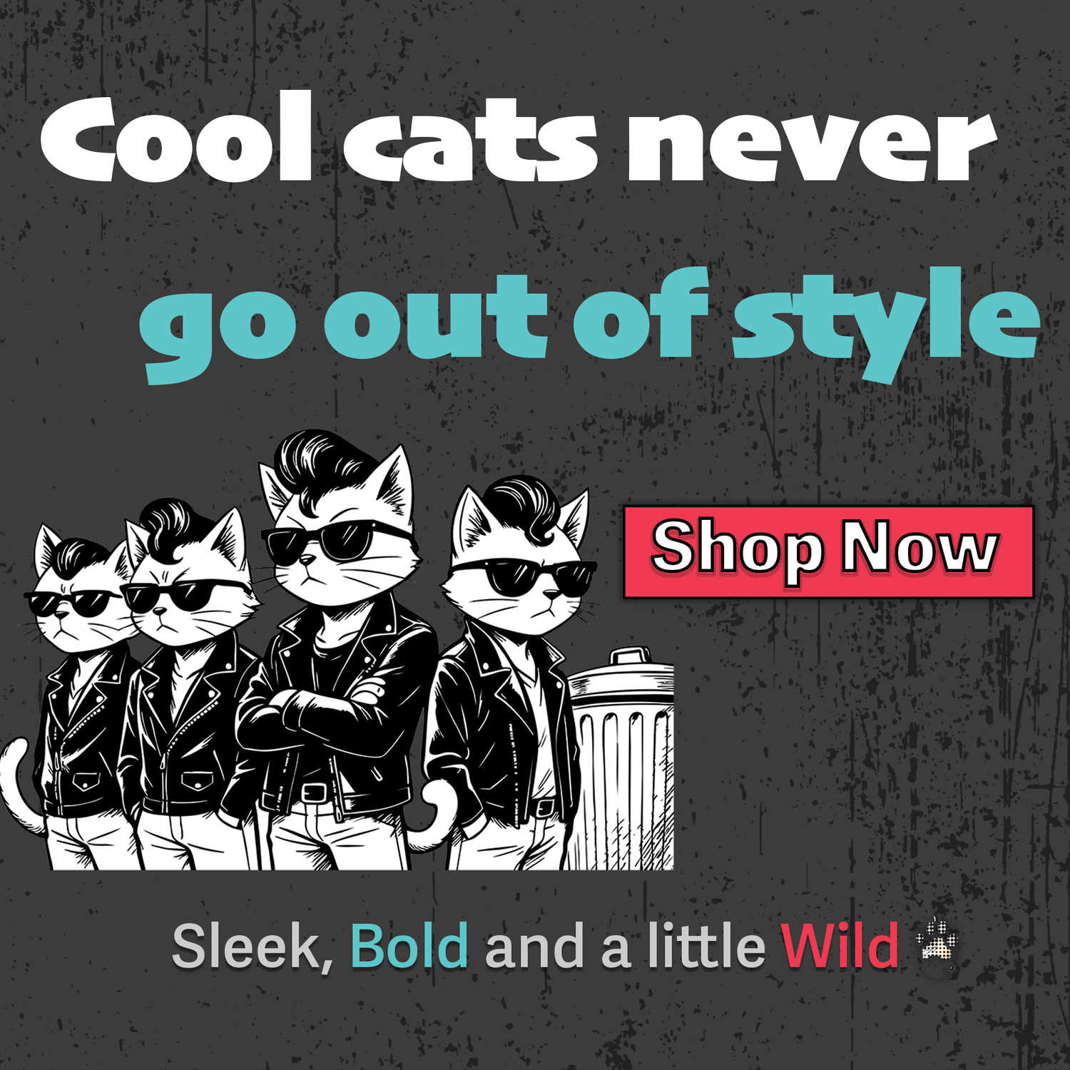 Sleeky Cats Collection