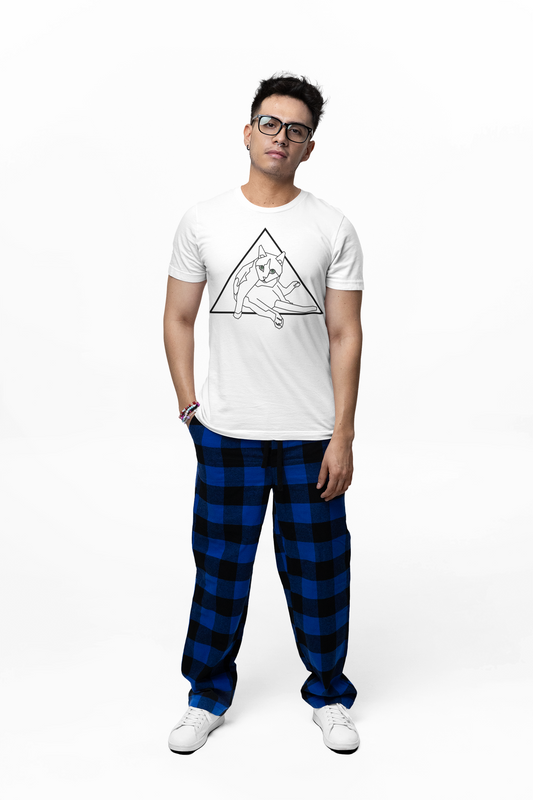 Geometric Cat T-Shirt - Minimalist Line Art Cat Tee, Cool Triangle Cat Design, Cat Lover Gift